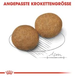 Royal Canin Medium Adult Trockenfutter Für Mittelgroße Hunde -Günstiges Wuff Pflege Geschäft 0054934 royal canin medium adult trockenfutter fur mittelgrose hunde