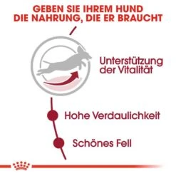 Royal Canin Medium Adult 7+ Trockenfutter Für ältere Mittelgroße Hunde -Günstiges Wuff Pflege Geschäft 0054943 royal canin medium adult 7 trockenfutter fur altere mittelgrose hunde