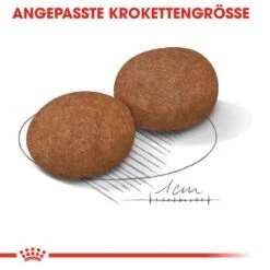 Royal Canin Medium Adult 7+ Trockenfutter Für ältere Mittelgroße Hunde -Günstiges Wuff Pflege Geschäft 0054945 royal canin medium adult 7 trockenfutter fur altere mittelgrose hunde