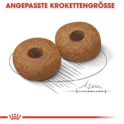 Royal Canin Medium Adult 10+ Trockenfutter Für ältere Mittelgroße Hunde -Günstiges Wuff Pflege Geschäft 0054948 royal canin medium adult 10 trockenfutter fur altere mittelgrose hunde