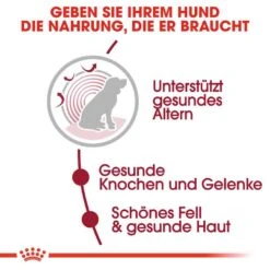 Royal Canin Medium Adult 10+ Trockenfutter Für ältere Mittelgroße Hunde -Günstiges Wuff Pflege Geschäft 0054953 royal canin medium adult 10 trockenfutter fur altere mittelgrose hunde