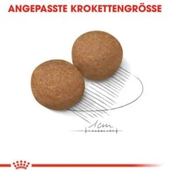 Royal Canin Maxi Adult 5+ Trockenfutter Für ältere Große Hunde -Günstiges Wuff Pflege Geschäft 0054970 royal canin maxi adult 5 trockenfutter fur altere grose hunde
