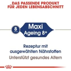 Royal Canin Maxi Ageing 8+ Trockenfutter Für ältere Große Hunde -Günstiges Wuff Pflege Geschäft 0054977 royal canin maxi ageing 8 trockenfutter fur altere grose hunde