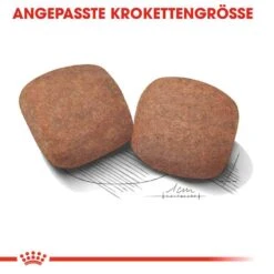 Royal Canin Giant Adult Trockenfutter Für Sehr Große Hunde -Günstiges Wuff Pflege Geschäft 0054981 royal canin giant adult trockenfutter fur sehr grose hunde