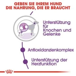 Royal Canin Giant Adult Trockenfutter Für Sehr Große Hunde -Günstiges Wuff Pflege Geschäft 0054985 royal canin giant adult trockenfutter fur sehr grose hunde