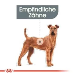 Royal Canin Dental Care Medium Trockenfutter Für Mittelgroße Hunde Mit Empfindlichen Zähnen -Günstiges Wuff Pflege Geschäft 0055053 royal canin dental care medium trockenfutter fur mittelgrose hunde mit empfindlichen zahnen