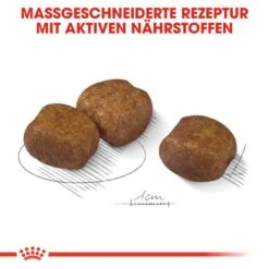 Royal Canin Dental Care Maxi Trockenfutter Für Große Hunde Mit Empfindlichen Zähnen -Günstiges Wuff Pflege Geschäft 0055061 royal canin dental care maxi trockenfutter fur grose hunde mit empfindlichen zahnen