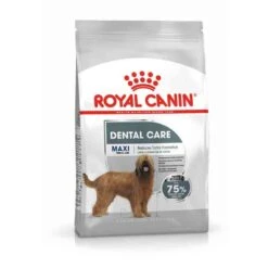 Royal Canin Dental Care Maxi Trockenfutter Für Große Hunde Mit Empfindlichen Zähnen -Günstiges Wuff Pflege Geschäft 0055062 royal canin dental care maxi trockenfutter fur grose hunde mit empfindlichen zahnen