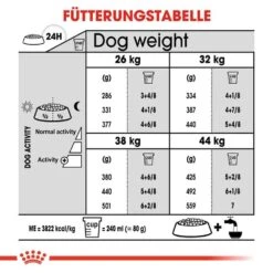 Royal Canin Dental Care Maxi Trockenfutter Für Große Hunde Mit Empfindlichen Zähnen -Günstiges Wuff Pflege Geschäft 0055064 royal canin dental care maxi trockenfutter fur grose hunde mit empfindlichen zahnen