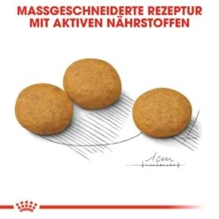 Royal Canin Dermacomfort Medium Trockenfutter Für Mittelgroße Hunde Mit Empfindlicher Haut -Günstiges Wuff Pflege Geschäft 0055070 royal canin dermacomfort medium trockenfutter fur mittelgrose hunde mit empfindlicher haut