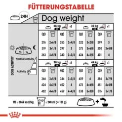 Royal Canin Dermacomfort Maxi Trockenfutter Für Große Hunde Mit Empfindlicher Haut -Günstiges Wuff Pflege Geschäft 0055073 royal canin dermacomfort maxi trockenfutter fur grose hunde mit empfindlicher haut