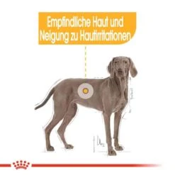 Royal Canin Dermacomfort Maxi Trockenfutter Für Große Hunde Mit Empfindlicher Haut -Günstiges Wuff Pflege Geschäft 0055077 royal canin dermacomfort maxi trockenfutter fur grose hunde mit empfindlicher haut