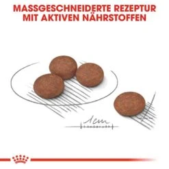 Royal Canin Digestive Care Mini Trockenfutter Für Kleine Hunde Mit Empfindlicher Verdauung -Günstiges Wuff Pflege Geschäft 0055080 royal canin digestive care mini trockenfutter fur kleine hunde mit empfindlicher verdauung