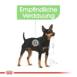 Royal Canin Digestive Care Mini Trockenfutter Für Kleine Hunde Mit Empfindlicher Verdauung -Günstiges Wuff Pflege Geschäft 0055081 royal canin digestive care mini trockenfutter fur kleine hunde mit empfindlicher verdauung
