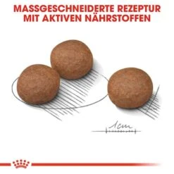 Royal Canin Digestive Care Medium Trockenfutter Für Mittelgroße Hunde Mit Empfindlicher Verdauung -Günstiges Wuff Pflege Geschäft 0055087 royal canin digestive care medium trockenfutter fur mittelgrose hunde mit empfindlicher verdauung