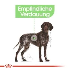 Royal Canin Digestive Care Maxi Trockenfutter Für Große Hunde Mit Empfindlicher Verdauung -Günstiges Wuff Pflege Geschäft 0055093 royal canin digestive care maxi trockenfutter fur grose hunde mit empfindlicher verdauung