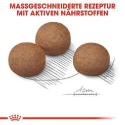 Royal Canin Digestive Care Maxi Trockenfutter Für Große Hunde Mit Empfindlicher Verdauung -Günstiges Wuff Pflege Geschäft 0055099 royal canin digestive care maxi trockenfutter fur grose hunde mit empfindlicher verdauung