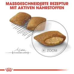 Royal Canin Exigent Mini Trockenfutter Für Wählerische Kleine Hunde -Günstiges Wuff Pflege Geschäft 0055101 royal canin exigent mini trockenfutter fur wahlerische kleine hunde