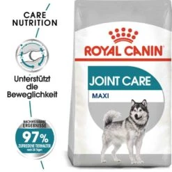Royal Canin Joint Care Maxi Trockenfutter Für Große Hunde Mit Empfindlichen Gelenken