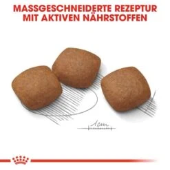 Royal Canin Joint Care Maxi Trockenfutter Für Große Hunde Mit Empfindlichen Gelenken -Günstiges Wuff Pflege Geschäft 0055113 royal canin joint care maxi trockenfutter fur grose hunde mit empfindlichen gelenken