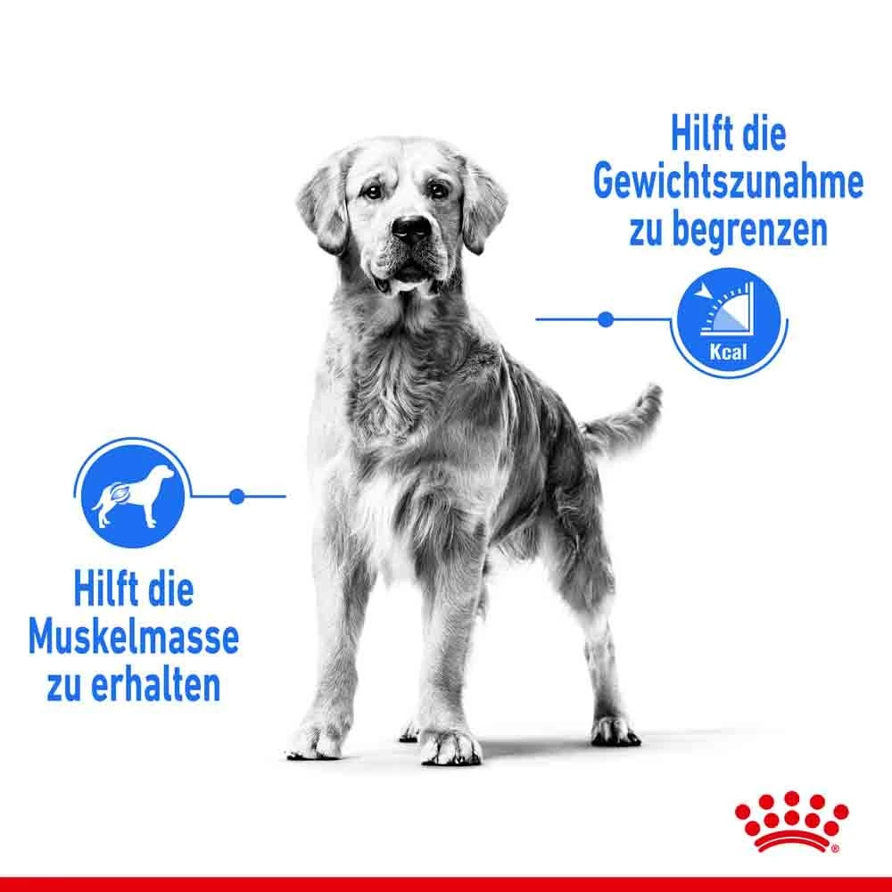 Royal Canin Light Weight Care Medium Trockenfutter Für Zu Übergewicht Neigenden Hunden 5 Royal Canin Light Weight Care Medium Trockenfutter Für Zu Übergewicht Neigenden Hunden – Bild 3
