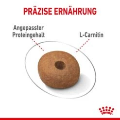 Royal Canin Light Weight Care Medium Trockenfutter Für Zu Übergewicht Neigenden Hunden 14 Royal Canin Light Weight Care Medium Trockenfutter Für Zu Übergewicht Neigenden Hunden -Günstiges Wuff Pflege Geschäft 0055120 royal canin light weight care medium trockenfutter fur zu ubergewicht neigenden hunden