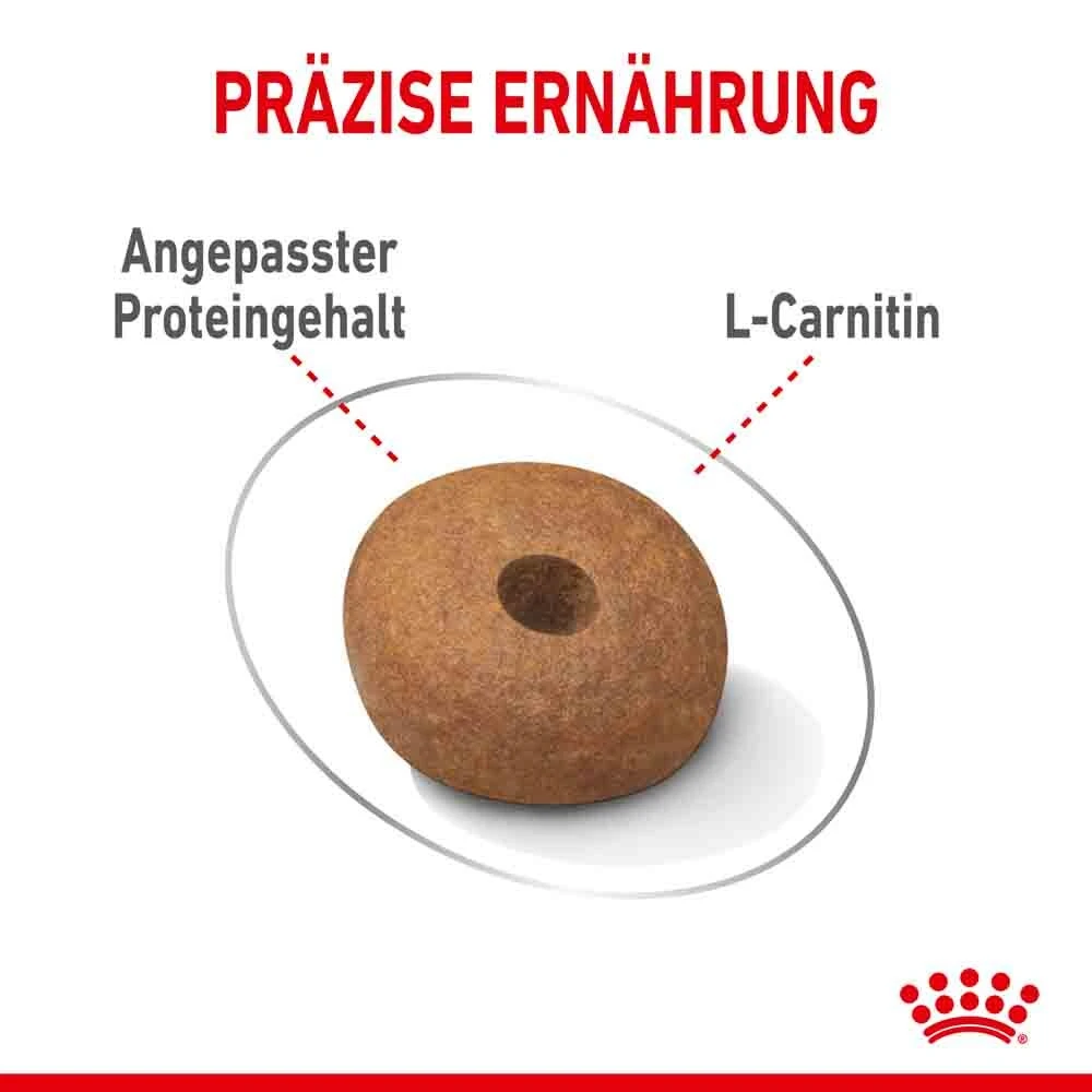 Royal Canin Light Weight Care Medium Trockenfutter Für Zu Übergewicht Neigenden Hunden 7 Royal Canin Light Weight Care Medium Trockenfutter Für Zu Übergewicht Neigenden Hunden – Bild 5