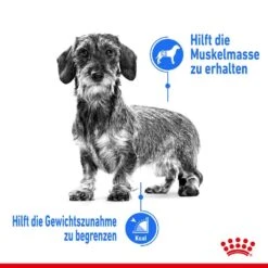 Royal Canin Light Weight Care Mini Trockenfutter Für Zu Übergewicht Neigenden Hunden -Günstiges Wuff Pflege Geschäft 0055123 royal canin light weight care mini trockenfutter fur zu ubergewicht neigenden hunden