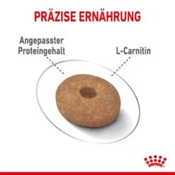 Royal Canin Light Weight Care Mini Trockenfutter Für Zu Übergewicht Neigenden Hunden -Günstiges Wuff Pflege Geschäft 0055128 royal canin light weight care mini trockenfutter fur zu ubergewicht neigenden hunden