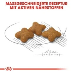 Royal Canin Sterilised X-SMALL Trockenfutter Für Kastrierte Sehr Kleine Hunde 14 Royal Canin Sterilised X-SMALL Trockenfutter Für Kastrierte Sehr Kleine Hunde -Günstiges Wuff Pflege Geschäft 0055134 royal canin sterilised x small trockenfutter fur kastrierte sehr kleine hunde