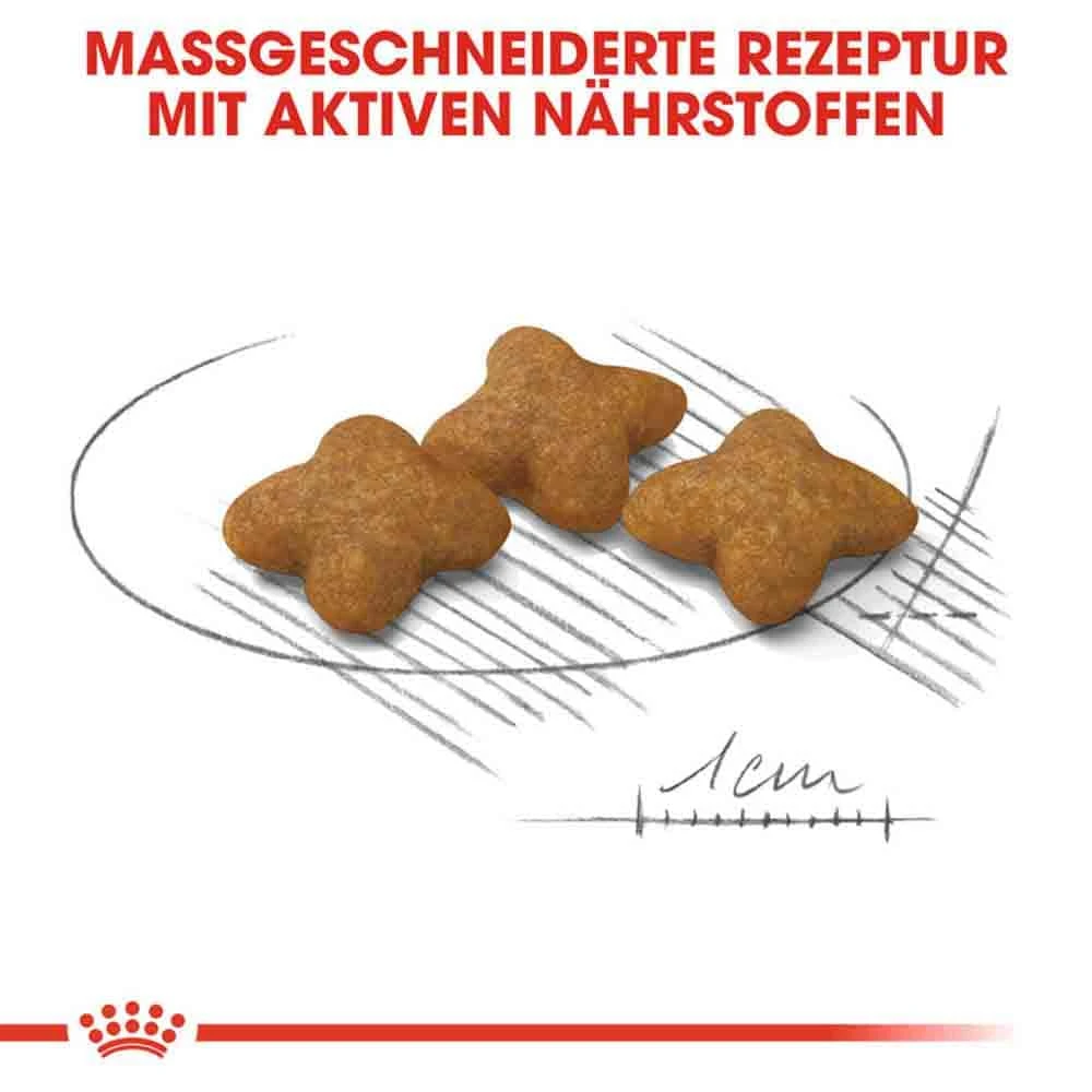 Royal Canin Sterilised X-SMALL Trockenfutter Für Kastrierte Sehr Kleine Hunde 7 Royal Canin Sterilised X-SMALL Trockenfutter Für Kastrierte Sehr Kleine Hunde – Bild 5