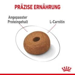 Royal Canin Light Weight Care Maxi Trockenfutter Für Zu Übergewicht Neigenden Hunden 14 Royal Canin Light Weight Care Maxi Trockenfutter Für Zu Übergewicht Neigenden Hunden -Günstiges Wuff Pflege Geschäft 0055141 royal canin light weight care maxi trockenfutter fur zu ubergewicht neigenden hunden