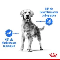 Royal Canin Light Weight Care Maxi Trockenfutter Für Zu Übergewicht Neigenden Hunden 12 Royal Canin Light Weight Care Maxi Trockenfutter Für Zu Übergewicht Neigenden Hunden -Günstiges Wuff Pflege Geschäft 0055142 royal canin light weight care maxi trockenfutter fur zu ubergewicht neigenden hunden