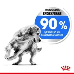 Royal Canin Light Weight Care Maxi Trockenfutter Für Zu Übergewicht Neigenden Hunden 13 Royal Canin Light Weight Care Maxi Trockenfutter Für Zu Übergewicht Neigenden Hunden -Günstiges Wuff Pflege Geschäft 0055144 royal canin light weight care maxi trockenfutter fur zu ubergewicht neigenden hunden