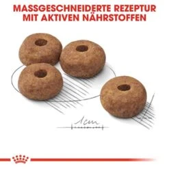Royal Canin Sterilised Medium Trockenfutter Für Kastrierte Mittelgroße Hunde -Günstiges Wuff Pflege Geschäft 0055148 royal canin sterilised medium trockenfutter fur kastrierte mittelgrose hunde
