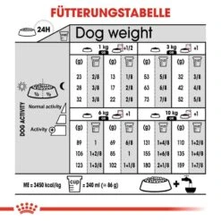 Royal Canin Sterilised Mini Trockenfutter Für Kastrierte Kleine Hunde -Günstiges Wuff Pflege Geschäft 0055155 royal canin sterilised mini trockenfutter fur kastrierte kleine hunde