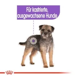 Royal Canin Sterilised Mini Trockenfutter Für Kastrierte Kleine Hunde -Günstiges Wuff Pflege Geschäft 0055162 royal canin sterilised mini trockenfutter fur kastrierte kleine hunde