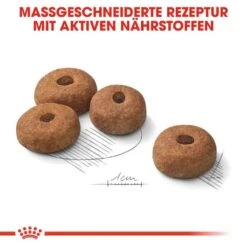 Royal Canin Sterilised Maxi Trockenfutter Für Kastrierte Große Hunde 14 Royal Canin Sterilised Maxi Trockenfutter Für Kastrierte Große Hunde -Günstiges Wuff Pflege Geschäft 0055163 royal canin sterilised maxi trockenfutter fur kastrierte grose hunde