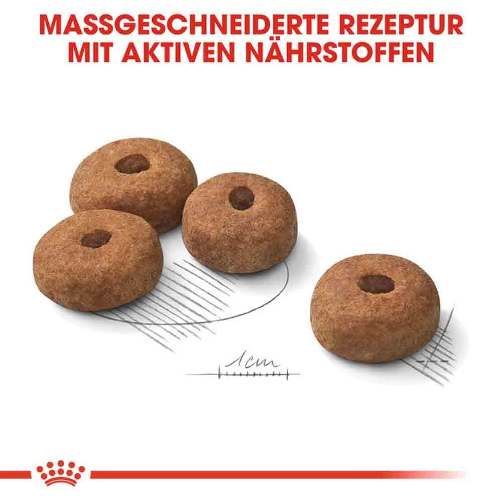 Royal Canin Sterilised Maxi Trockenfutter Für Kastrierte Große Hunde 7 Royal Canin Sterilised Maxi Trockenfutter Für Kastrierte Große Hunde – Bild 5