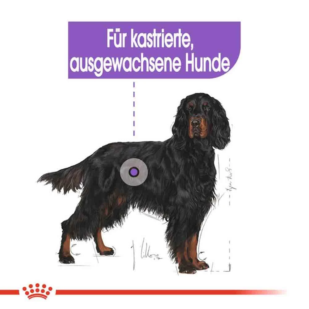 Royal Canin Sterilised Maxi Trockenfutter Für Kastrierte Große Hunde 5 Royal Canin Sterilised Maxi Trockenfutter Für Kastrierte Große Hunde – Bild 3