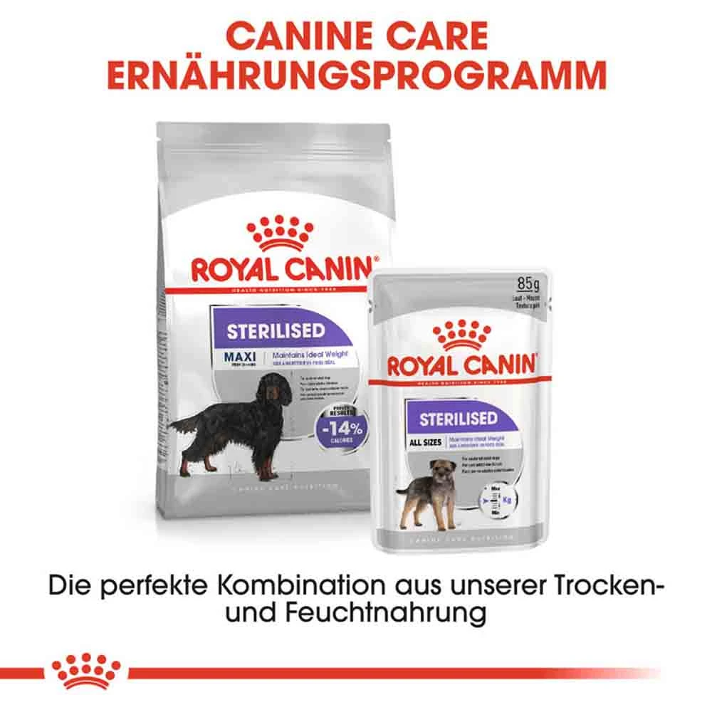 Royal Canin Sterilised Maxi Trockenfutter Für Kastrierte Große Hunde 9 Royal Canin Sterilised Maxi Trockenfutter Für Kastrierte Große Hunde – Bild 7