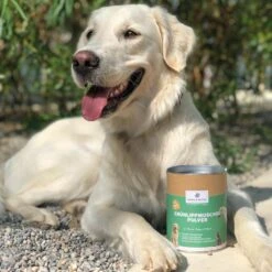 PAWS & PATCH Grünlippmuschel Pulver Für Hunde, Katzen Und Pferde -Günstiges Wuff Pflege Geschäft 0055787 paws patch grunlippmuschel pulver fur hunde katzen und pferde