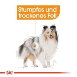 Royal Canin Coat Care Mini Trockenfutter Für Kleine Hunde Für Glänzendes Fell -Günstiges Wuff Pflege Geschäft 0055876 royal canin coat care mini trockenfutter fur kleine hunde fur glanzendes fell