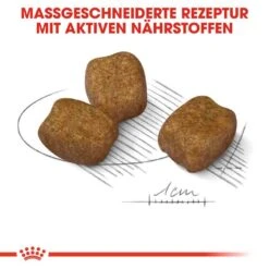 Royal Canin Dental Care Mini Trockenfutter Für Kleine Hunde Mit Empfindlichen Zähnen -Günstiges Wuff Pflege Geschäft 0055881 royal canin dental care mini trockenfutter fur kleine hunde mit empfindlichen zahnen
