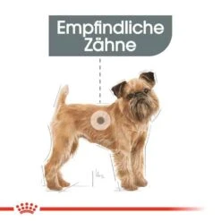 Royal Canin Dental Care Mini Trockenfutter Für Kleine Hunde Mit Empfindlichen Zähnen -Günstiges Wuff Pflege Geschäft 0055882 royal canin dental care mini trockenfutter fur kleine hunde mit empfindlichen zahnen
