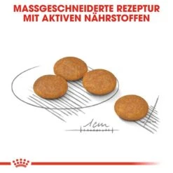 Royal Canin Dermacomfort Mini Trockenfutter Für Kleine Hunde Mit Empfindlicher Haut -Günstiges Wuff Pflege Geschäft 0055889 royal canin dermacomfort mini trockenfutter fur kleine hunde mit empfindlicher haut