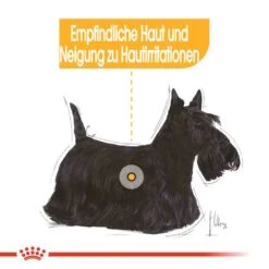 Royal Canin Dermacomfort Mini Trockenfutter Für Kleine Hunde Mit Empfindlicher Haut -Günstiges Wuff Pflege Geschäft 0055890 royal canin dermacomfort mini trockenfutter fur kleine hunde mit empfindlicher haut