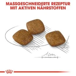 Royal Canin Relax Care Mini Trockenfutter Für Kleine Hunde In Unruhigem Umfeld -Günstiges Wuff Pflege Geschäft 0055906 royal canin relax care mini trockenfutter fur kleine hunde in unruhigem umfeld