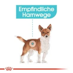 Royal Canin Urinary Care Mini Trockenfutter Für Kleine Hunde Mit Empfindlichen Harnwegen -Günstiges Wuff Pflege Geschäft 0055913 royal canin urinary care mini trockenfutter fur kleine hunde mit empfindlichen harnwegen