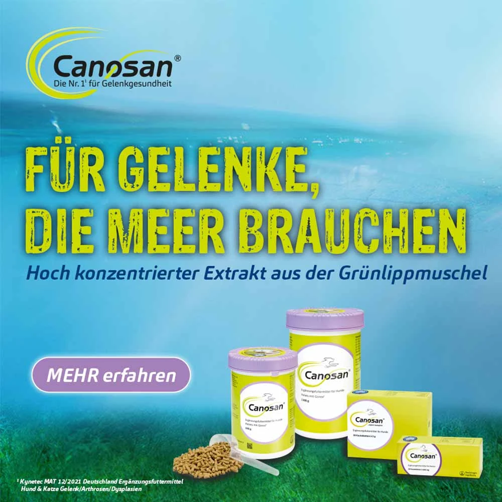 Boehringer Ingelheim Canosan Pellets 8 Boehringer Ingelheim Canosan Pellets – Bild 6